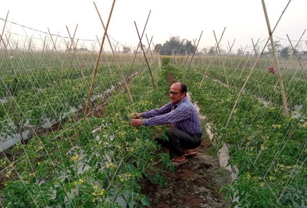 ६४ वर्ष पछि फेला पर्यो अनौठो चरा, आधा मानिस, आधा पंक्षी !