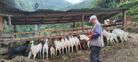 ६४ वर्ष पछि फेला पर्यो अनौठो चरा, आधा मानिस, आधा पंक्षी !