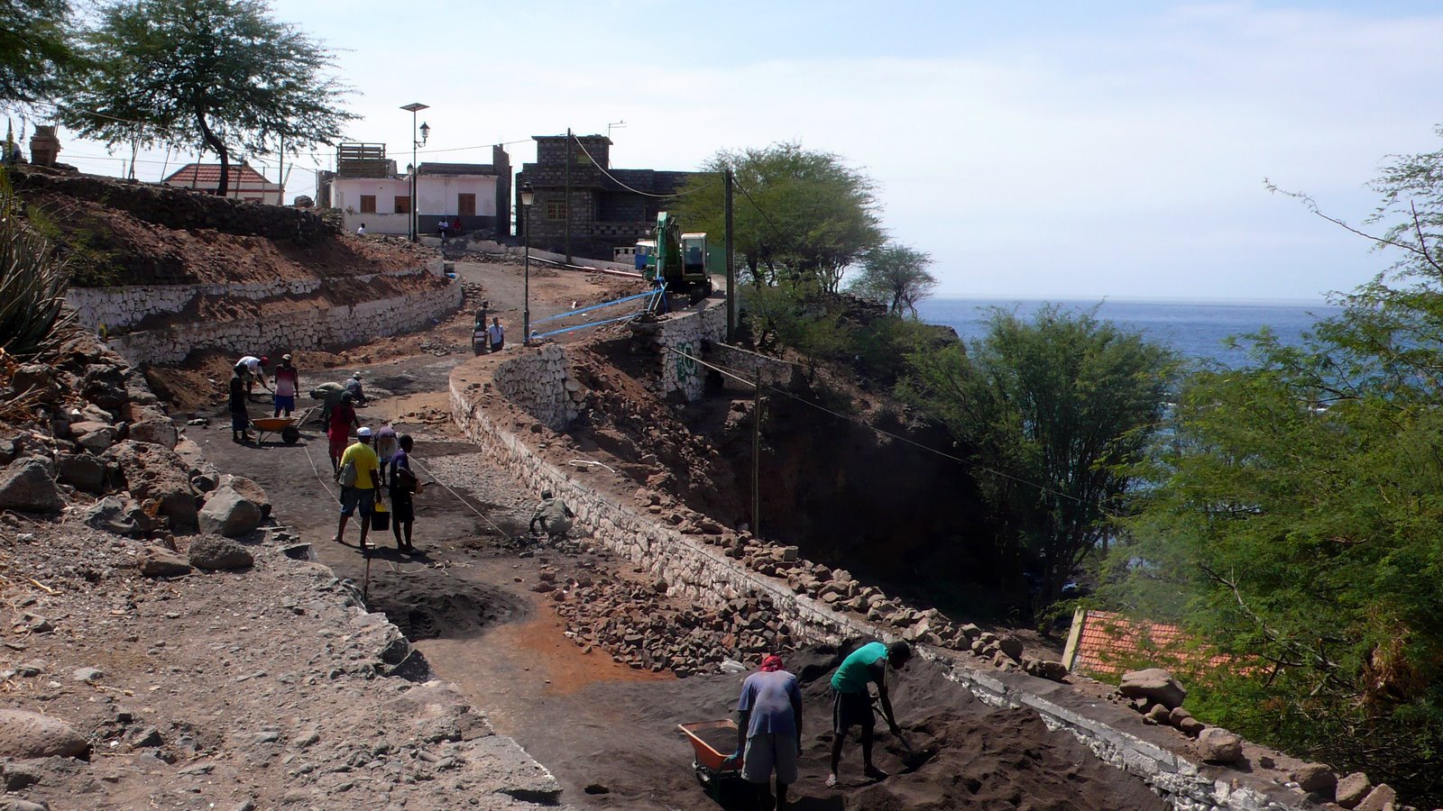 ६४ वर्ष पछि फेला पर्यो अनौठो चरा, आधा मानिस, आधा पंक्षी !