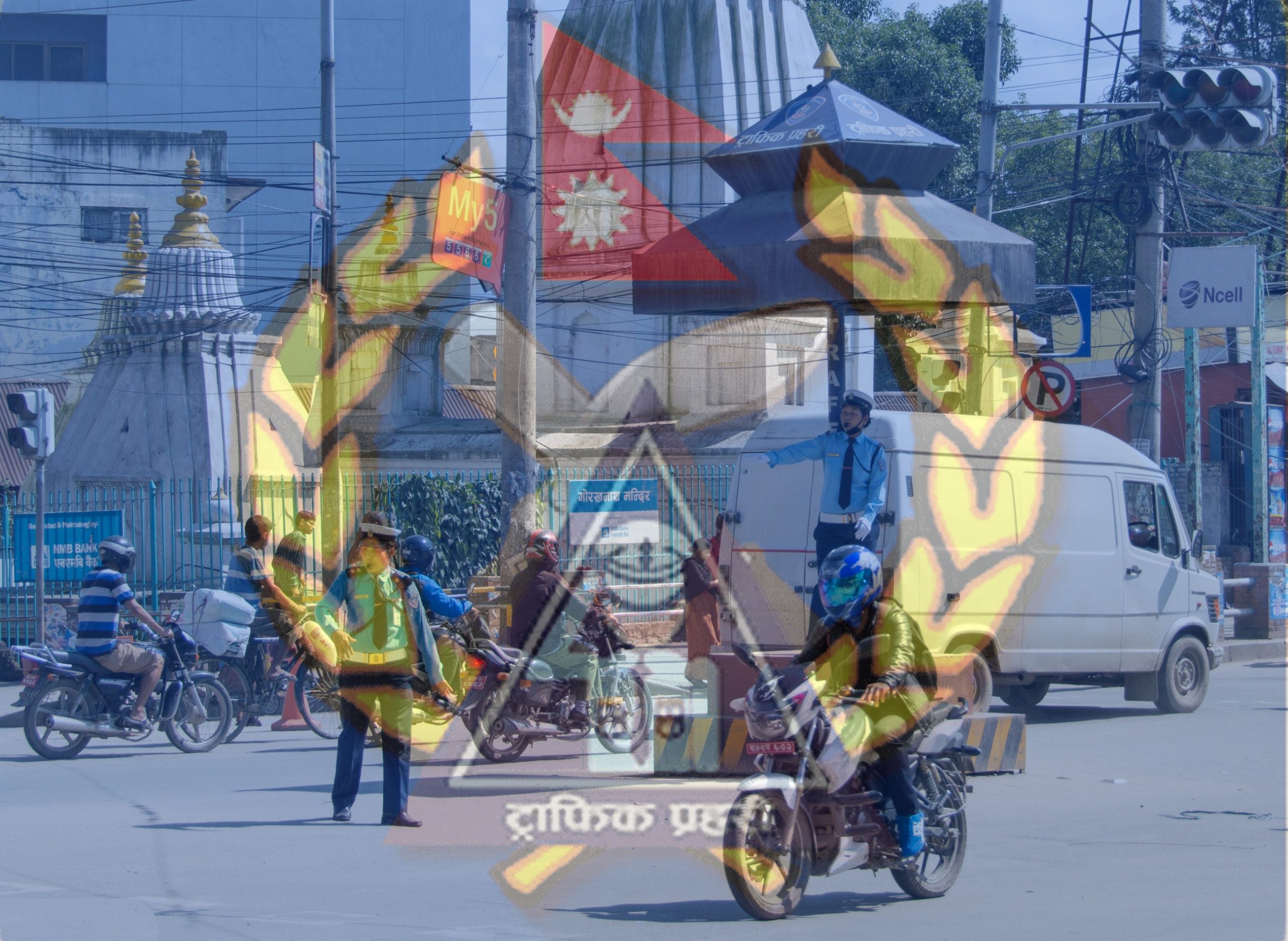 ६४ वर्ष पछि फेला पर्यो अनौठो चरा, आधा मानिस, आधा पंक्षी !