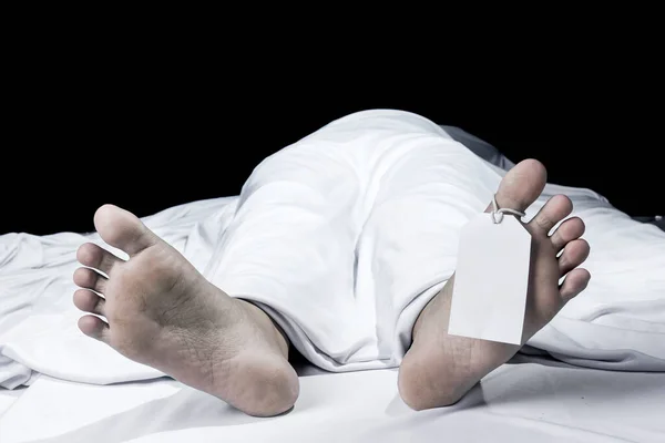 ६४ वर्ष पछि फेला पर्यो अनौठो चरा, आधा मानिस, आधा पंक्षी !