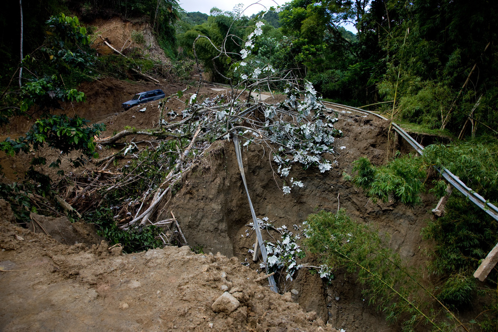 ६४ वर्ष पछि फेला पर्यो अनौठो चरा, आधा मानिस, आधा पंक्षी !