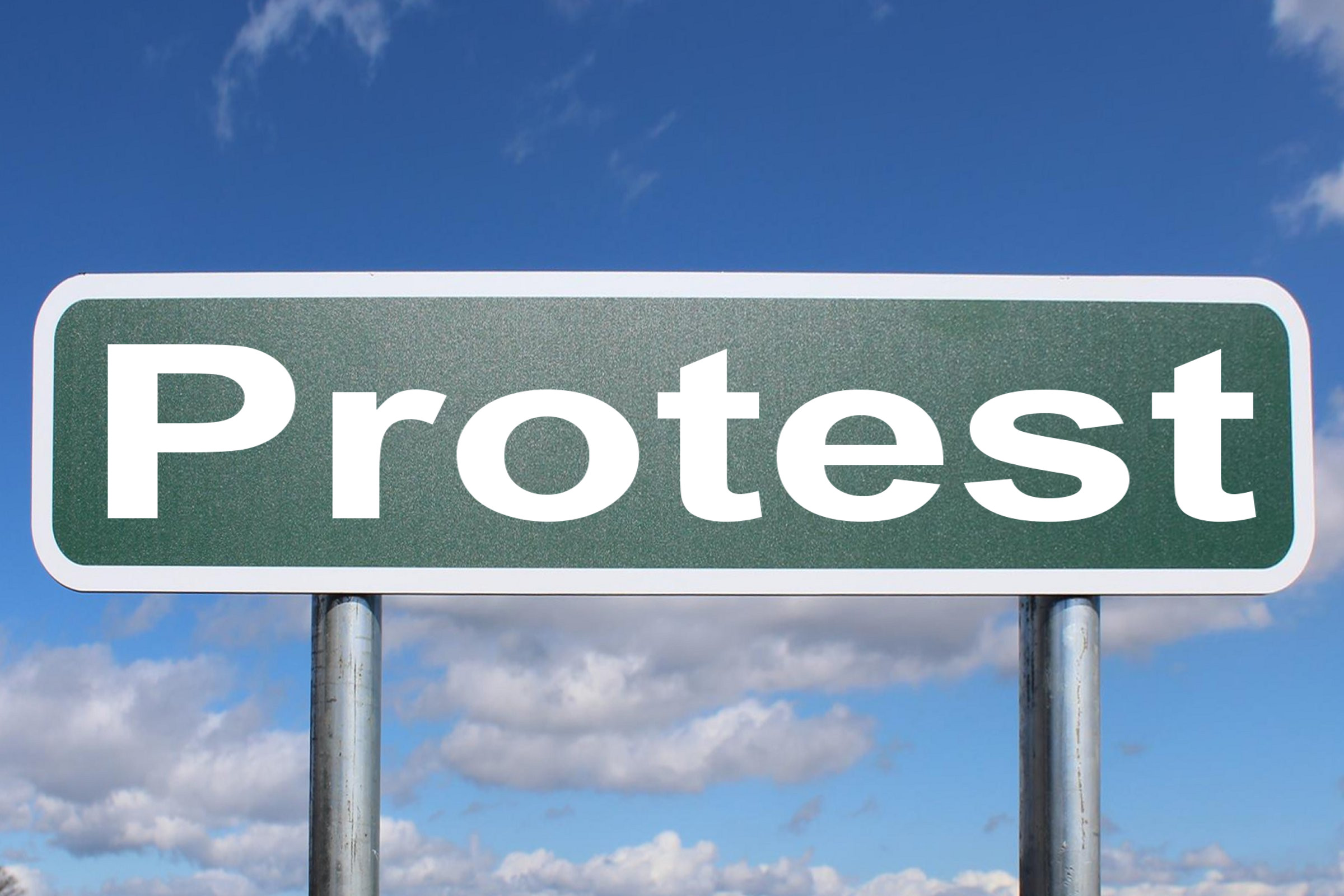 ६४ वर्ष पछि फेला पर्यो अनौठो चरा, आधा मानिस, आधा पंक्षी !