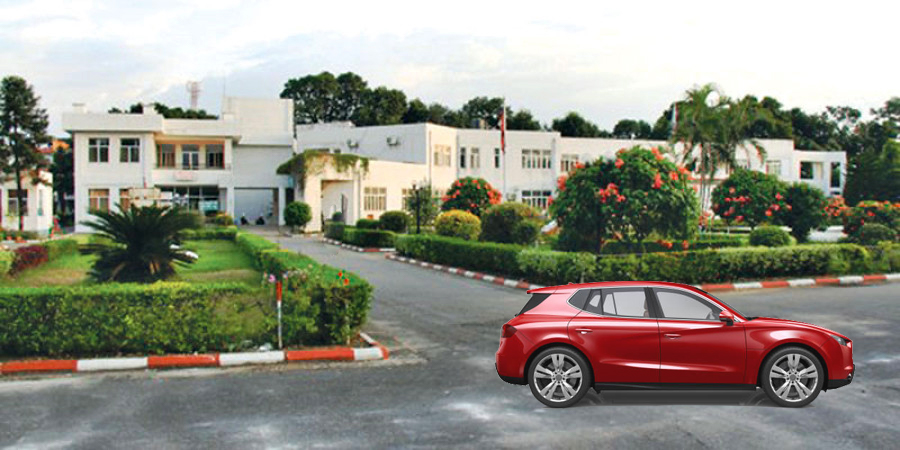 ६४ वर्ष पछि फेला पर्यो अनौठो चरा, आधा मानिस, आधा पंक्षी !