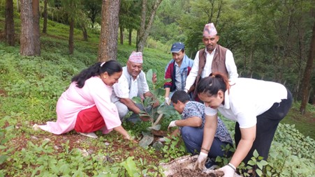६४ वर्ष पछि फेला पर्यो अनौठो चरा, आधा मानिस, आधा पंक्षी !