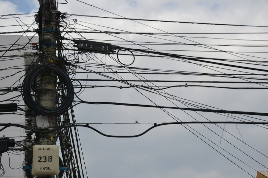 ६४ वर्ष पछि फेला पर्यो अनौठो चरा, आधा मानिस, आधा पंक्षी !