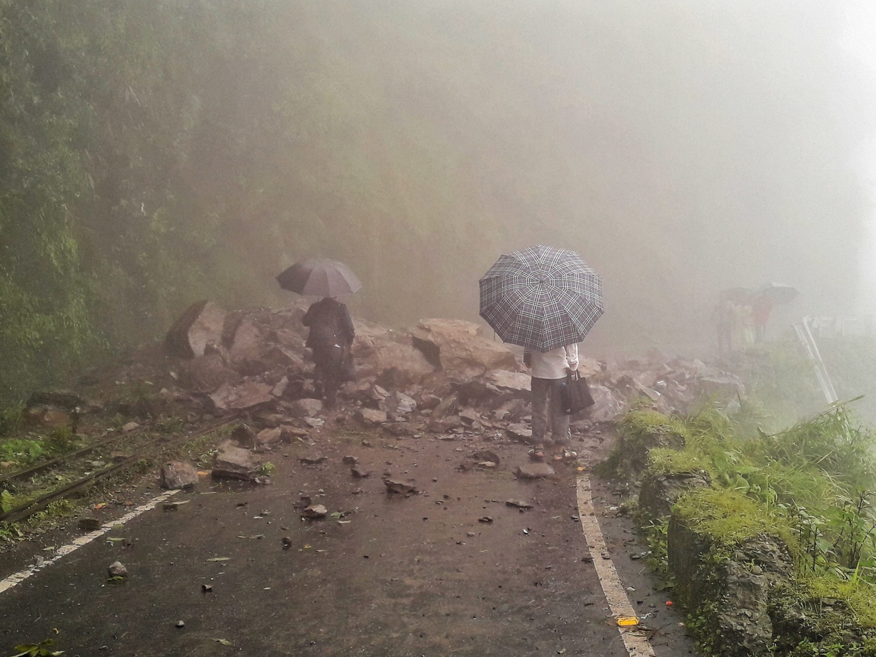 ६४ वर्ष पछि फेला पर्यो अनौठो चरा, आधा मानिस, आधा पंक्षी !