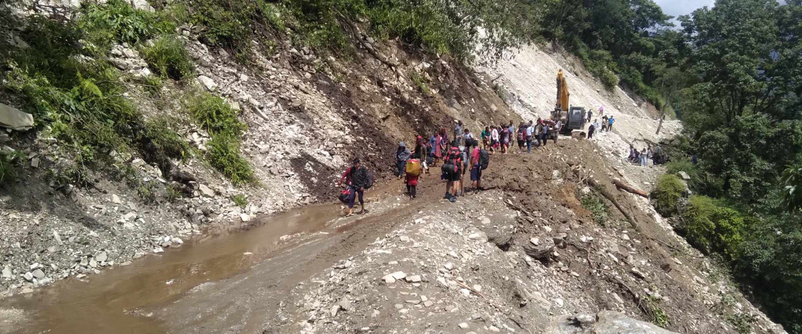 ६४ वर्ष पछि फेला पर्यो अनौठो चरा, आधा मानिस, आधा पंक्षी !