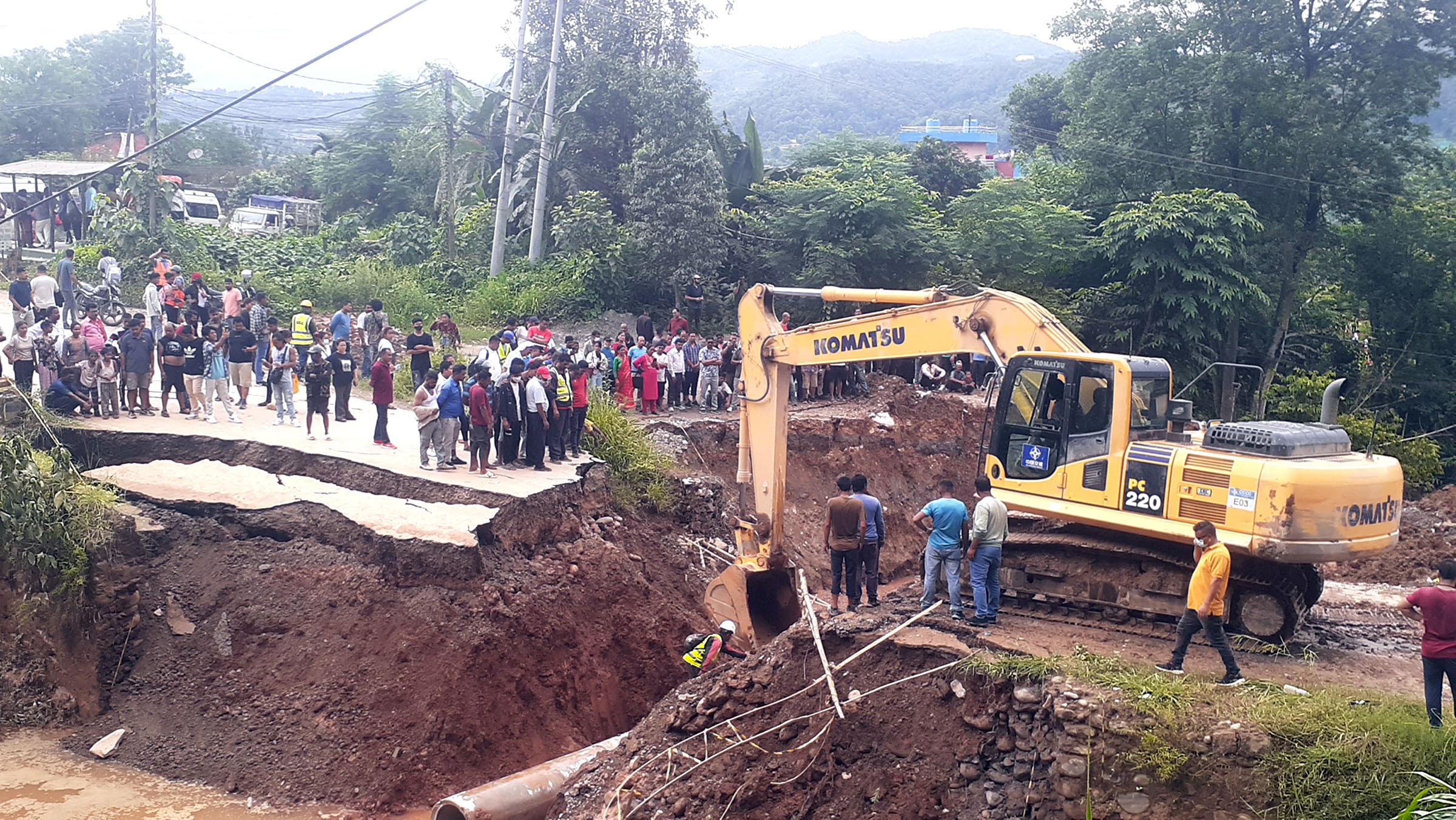 ६४ वर्ष पछि फेला पर्यो अनौठो चरा, आधा मानिस, आधा पंक्षी !