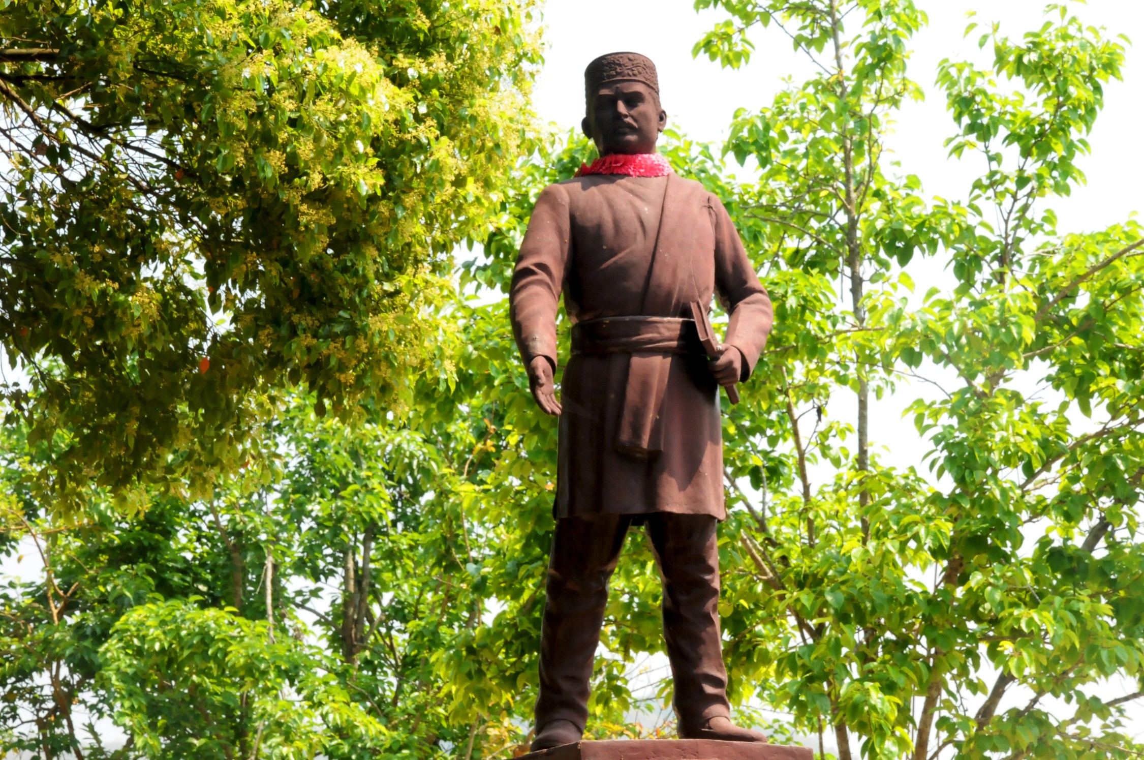 ६४ वर्ष पछि फेला पर्यो अनौठो चरा, आधा मानिस, आधा पंक्षी !