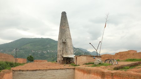 ६४ वर्ष पछि फेला पर्यो अनौठो चरा, आधा मानिस, आधा पंक्षी !