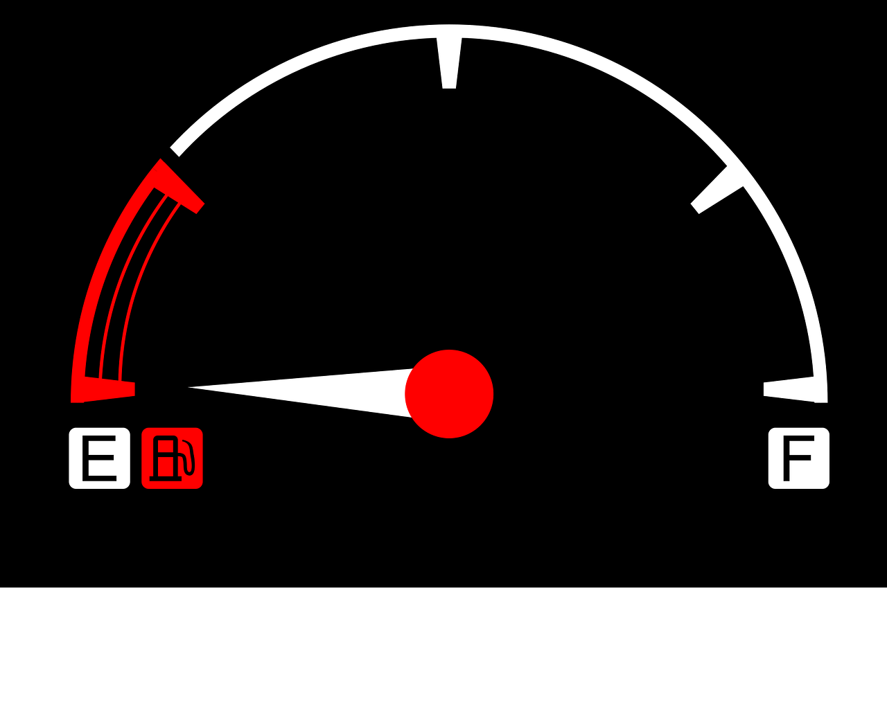 ६४ वर्ष पछि फेला पर्यो अनौठो चरा, आधा मानिस, आधा पंक्षी !