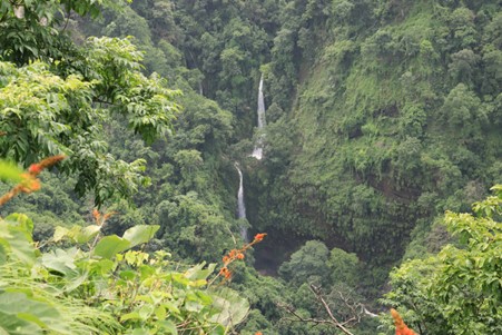 ६४ वर्ष पछि फेला पर्यो अनौठो चरा, आधा मानिस, आधा पंक्षी !