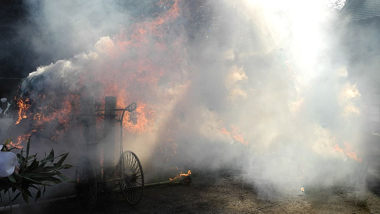 ६४ वर्ष पछि फेला पर्यो अनौठो चरा, आधा मानिस, आधा पंक्षी !