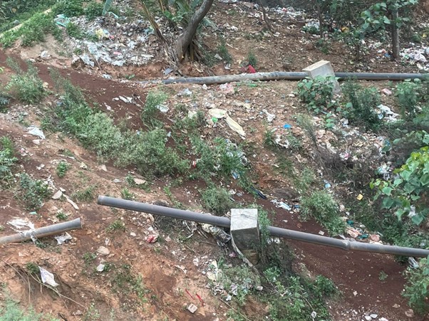 ६४ वर्ष पछि फेला पर्यो अनौठो चरा, आधा मानिस, आधा पंक्षी !