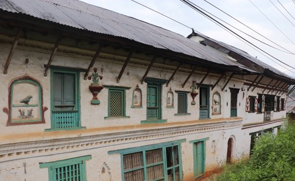 ६४ वर्ष पछि फेला पर्यो अनौठो चरा, आधा मानिस, आधा पंक्षी !