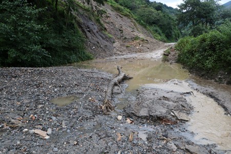 ६४ वर्ष पछि फेला पर्यो अनौठो चरा, आधा मानिस, आधा पंक्षी !