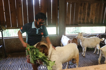 ६४ वर्ष पछि फेला पर्यो अनौठो चरा, आधा मानिस, आधा पंक्षी !