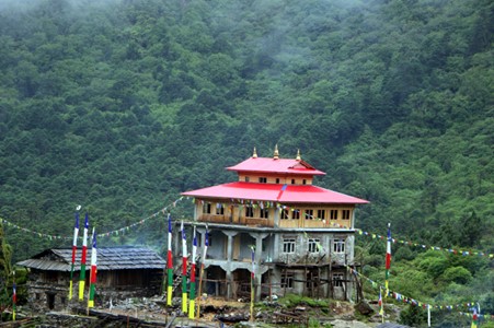 ६४ वर्ष पछि फेला पर्यो अनौठो चरा, आधा मानिस, आधा पंक्षी !