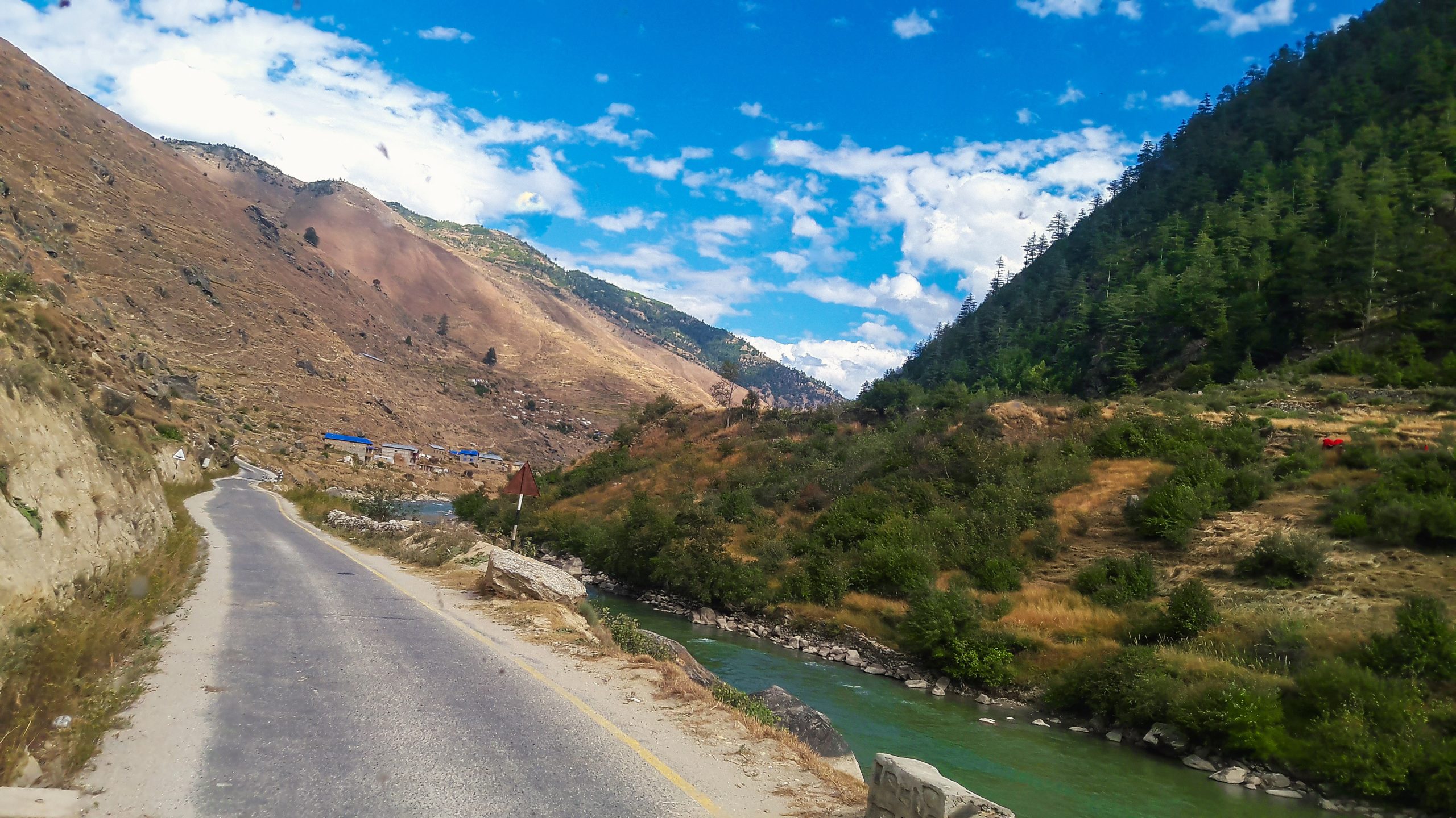 ६४ वर्ष पछि फेला पर्यो अनौठो चरा, आधा मानिस, आधा पंक्षी !