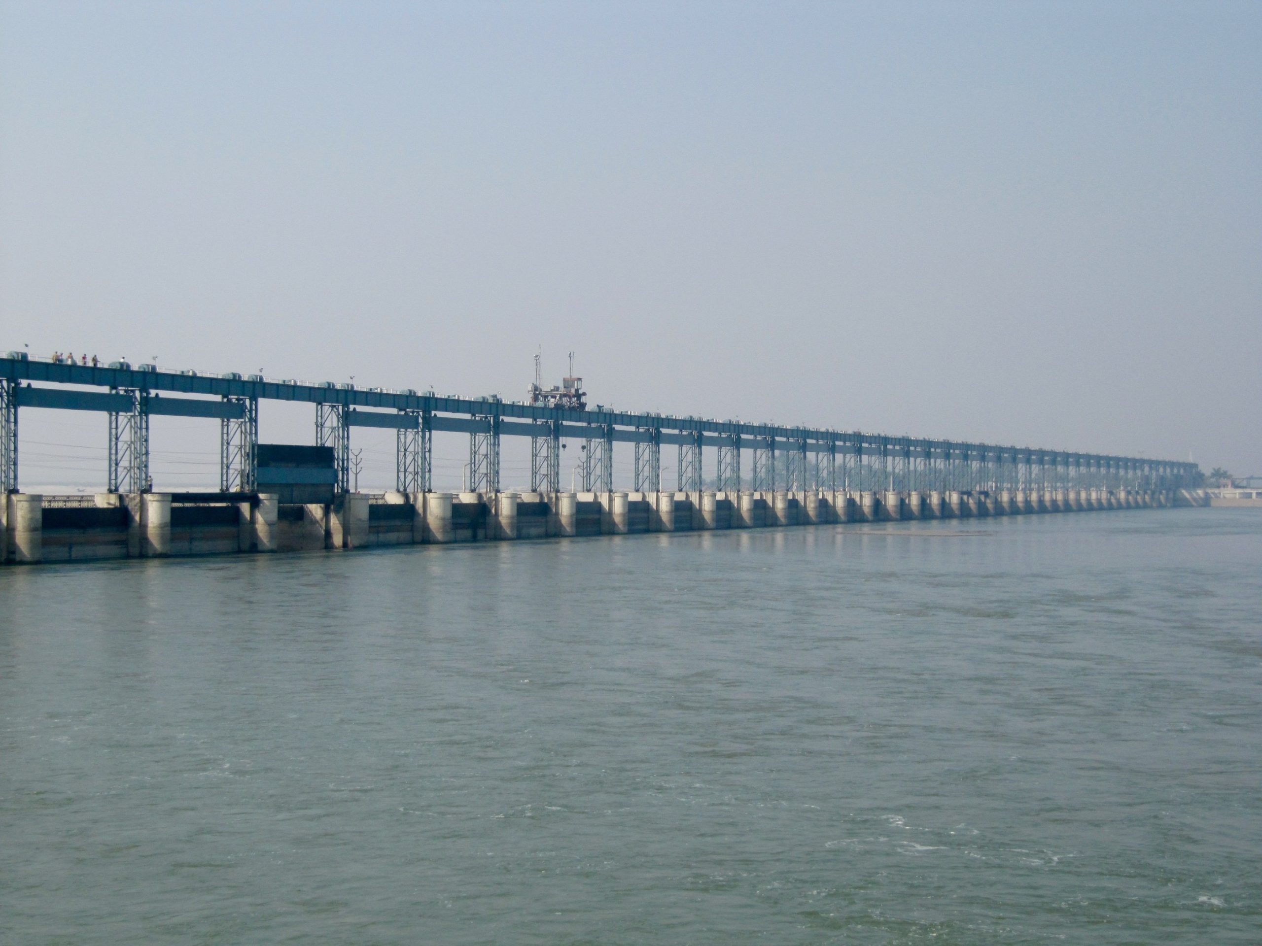 ६४ वर्ष पछि फेला पर्यो अनौठो चरा, आधा मानिस, आधा पंक्षी !