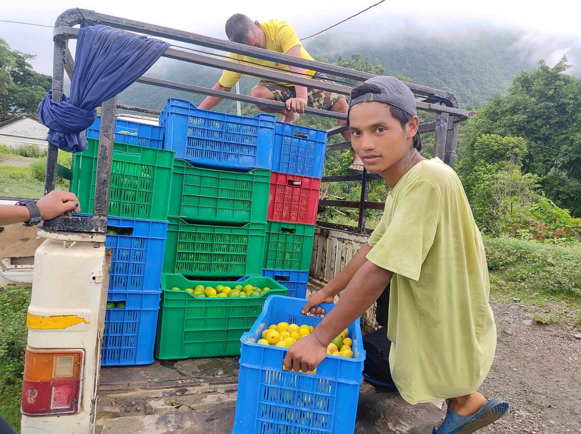 ६४ वर्ष पछि फेला पर्यो अनौठो चरा, आधा मानिस, आधा पंक्षी !