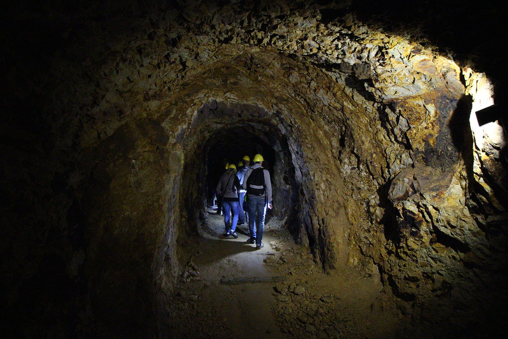 ६४ वर्ष पछि फेला पर्यो अनौठो चरा, आधा मानिस, आधा पंक्षी !