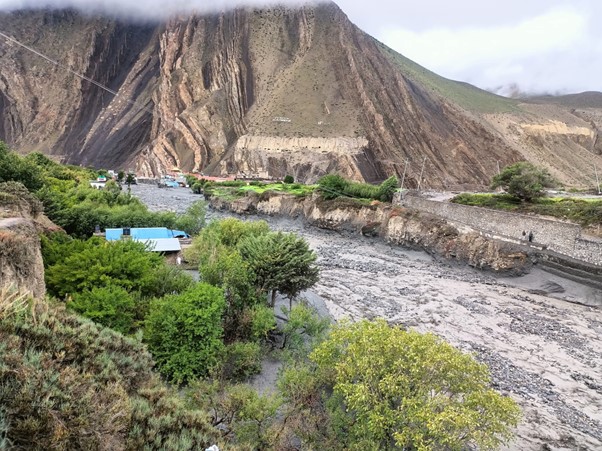 ६४ वर्ष पछि फेला पर्यो अनौठो चरा, आधा मानिस, आधा पंक्षी !
