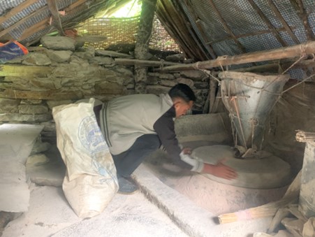 ६४ वर्ष पछि फेला पर्यो अनौठो चरा, आधा मानिस, आधा पंक्षी !