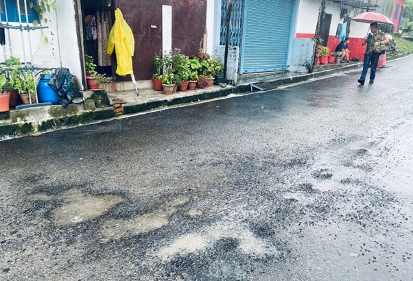 ६४ वर्ष पछि फेला पर्यो अनौठो चरा, आधा मानिस, आधा पंक्षी !