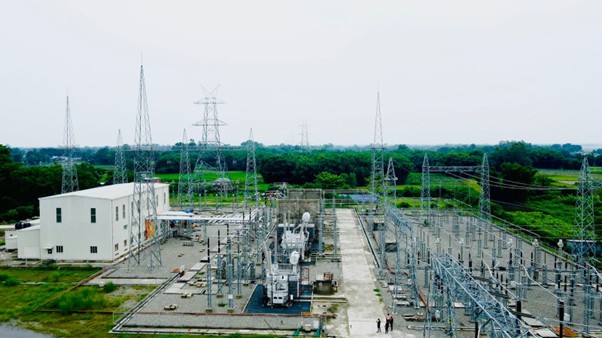 ६४ वर्ष पछि फेला पर्यो अनौठो चरा, आधा मानिस, आधा पंक्षी !