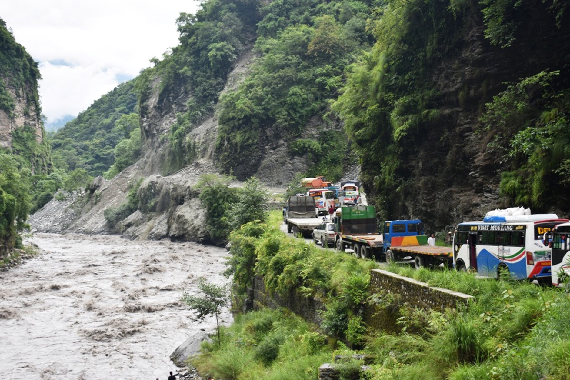 ६४ वर्ष पछि फेला पर्यो अनौठो चरा, आधा मानिस, आधा पंक्षी !