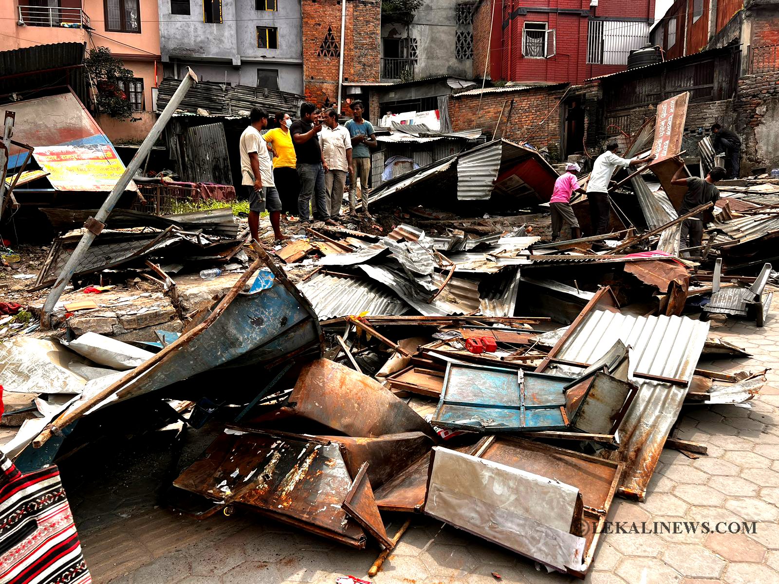 ६४ वर्ष पछि फेला पर्यो अनौठो चरा, आधा मानिस, आधा पंक्षी !