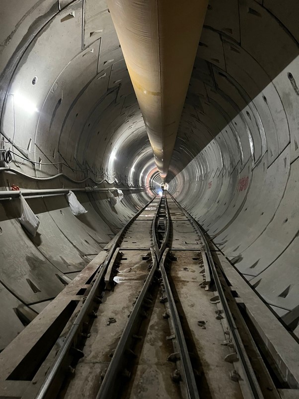 ६४ वर्ष पछि फेला पर्यो अनौठो चरा, आधा मानिस, आधा पंक्षी !