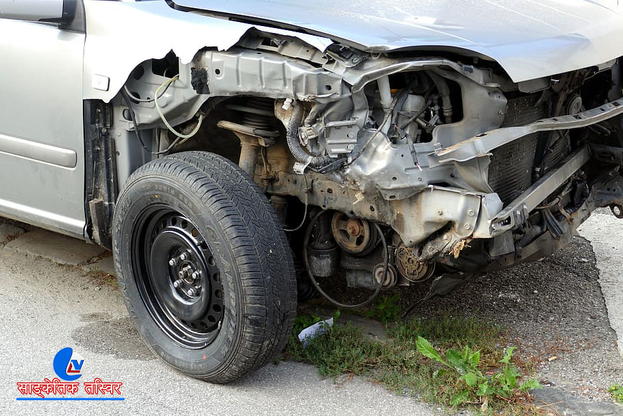 ६४ वर्ष पछि फेला पर्यो अनौठो चरा, आधा मानिस, आधा पंक्षी !