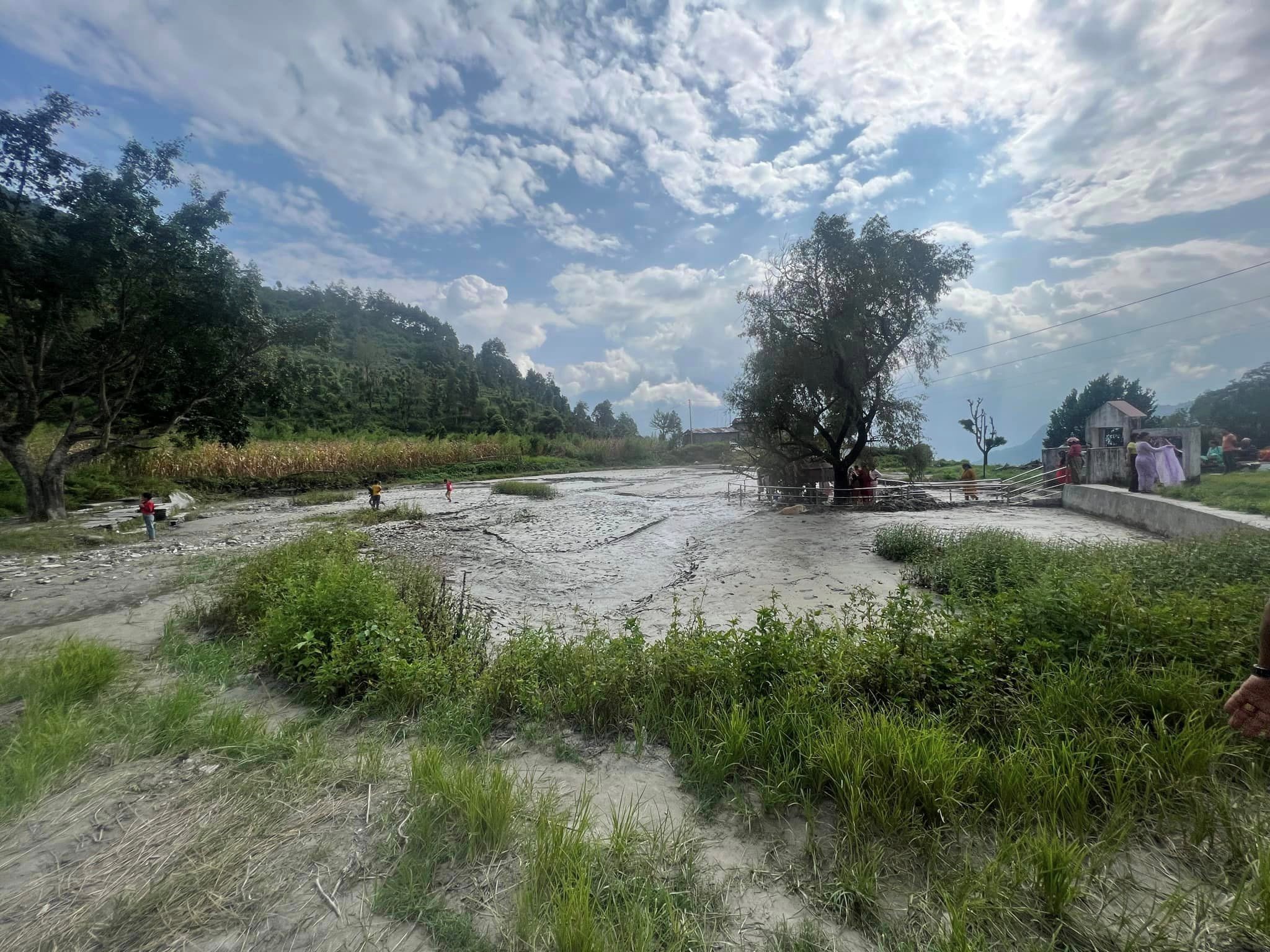 ६४ वर्ष पछि फेला पर्यो अनौठो चरा, आधा मानिस, आधा पंक्षी !