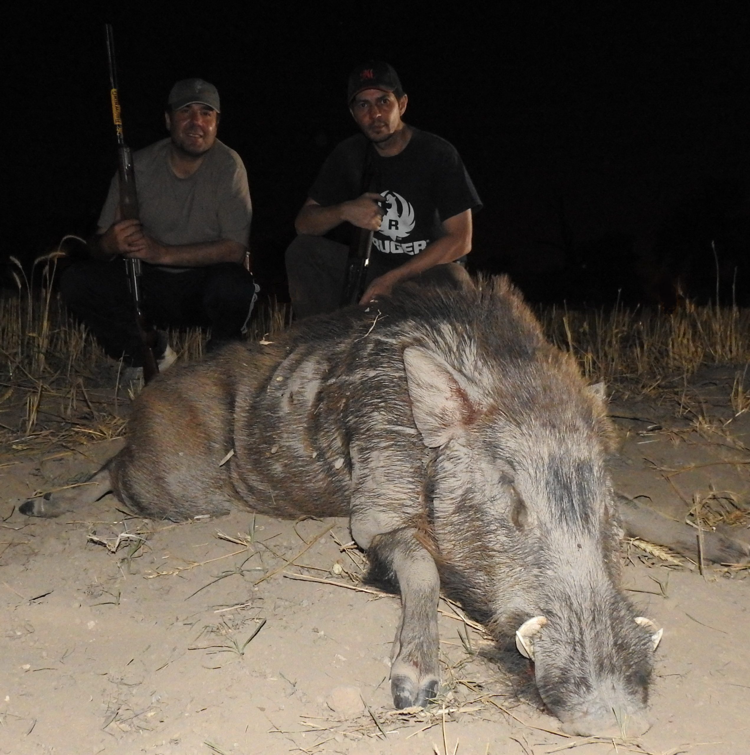 ६४ वर्ष पछि फेला पर्यो अनौठो चरा, आधा मानिस, आधा पंक्षी !