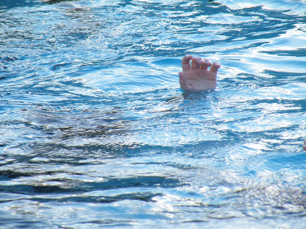 ६४ वर्ष पछि फेला पर्यो अनौठो चरा, आधा मानिस, आधा पंक्षी !