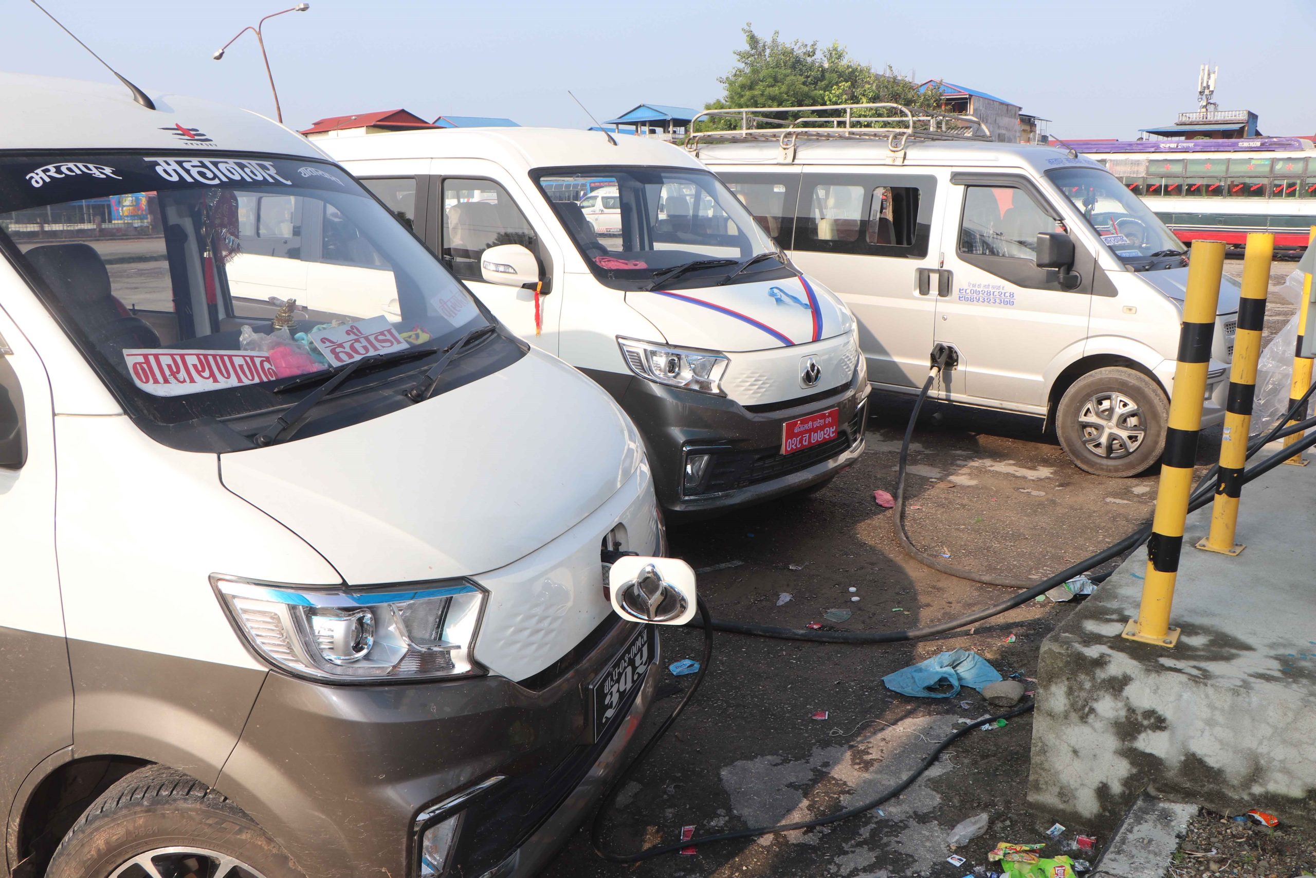 ६४ वर्ष पछि फेला पर्यो अनौठो चरा, आधा मानिस, आधा पंक्षी !