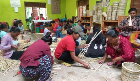 ६४ वर्ष पछि फेला पर्यो अनौठो चरा, आधा मानिस, आधा पंक्षी !