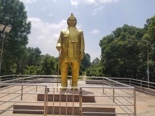 ६४ वर्ष पछि फेला पर्यो अनौठो चरा, आधा मानिस, आधा पंक्षी !