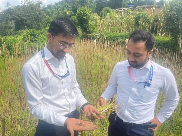 ६४ वर्ष पछि फेला पर्यो अनौठो चरा, आधा मानिस, आधा पंक्षी !