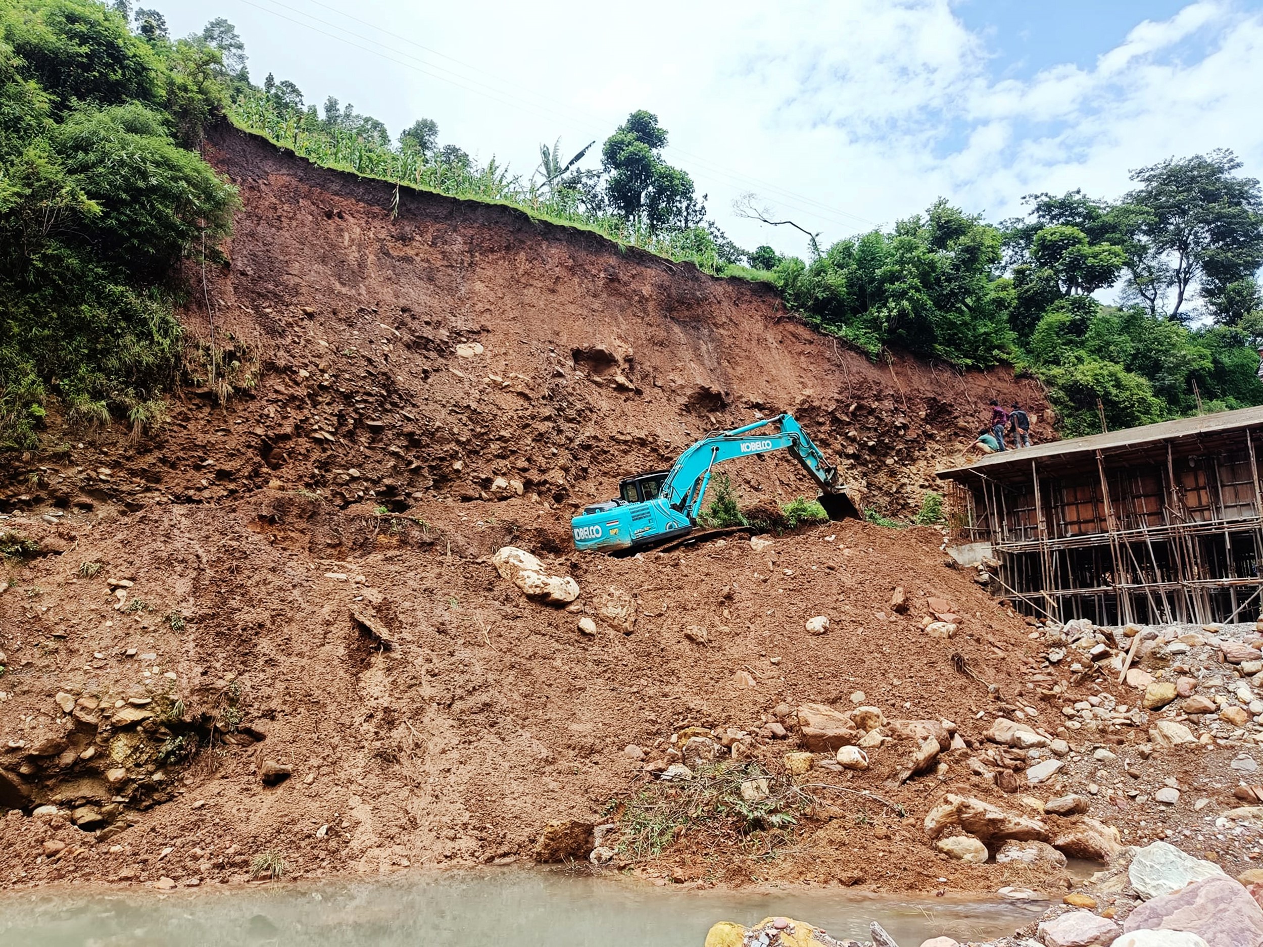 ६४ वर्ष पछि फेला पर्यो अनौठो चरा, आधा मानिस, आधा पंक्षी !