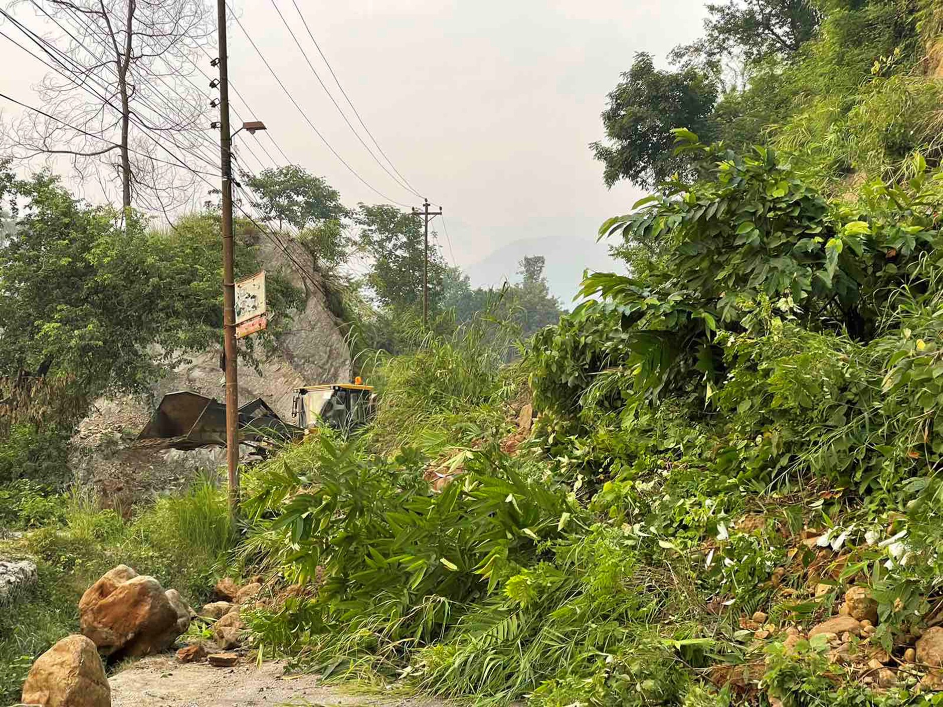 ६४ वर्ष पछि फेला पर्यो अनौठो चरा, आधा मानिस, आधा पंक्षी !