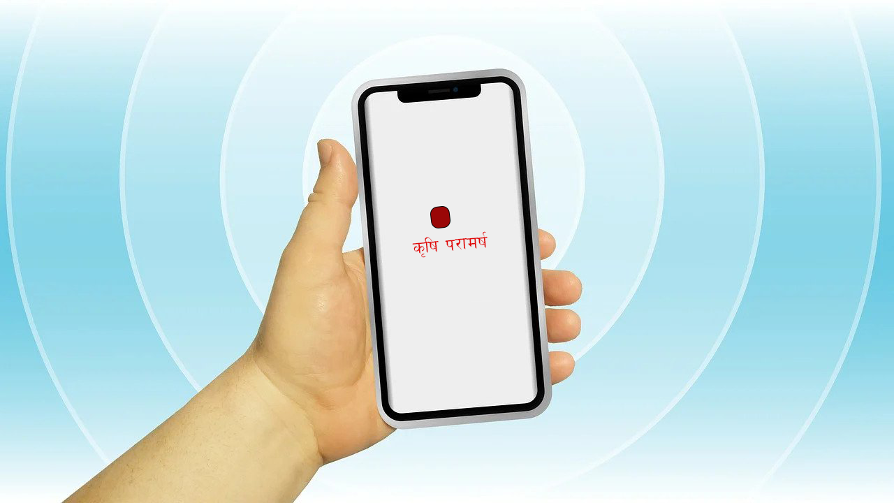 ६४ वर्ष पछि फेला पर्यो अनौठो चरा, आधा मानिस, आधा पंक्षी !