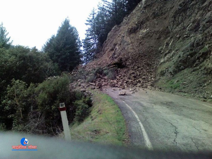 ६४ वर्ष पछि फेला पर्यो अनौठो चरा, आधा मानिस, आधा पंक्षी !