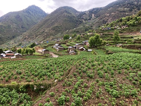 ६४ वर्ष पछि फेला पर्यो अनौठो चरा, आधा मानिस, आधा पंक्षी !