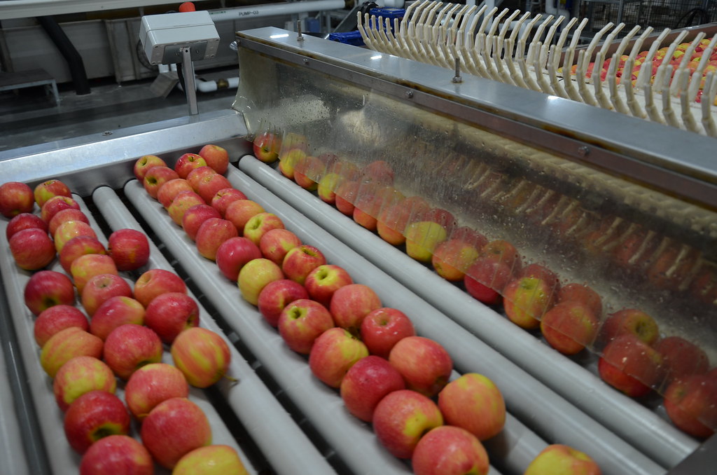 ६४ वर्ष पछि फेला पर्यो अनौठो चरा, आधा मानिस, आधा पंक्षी !