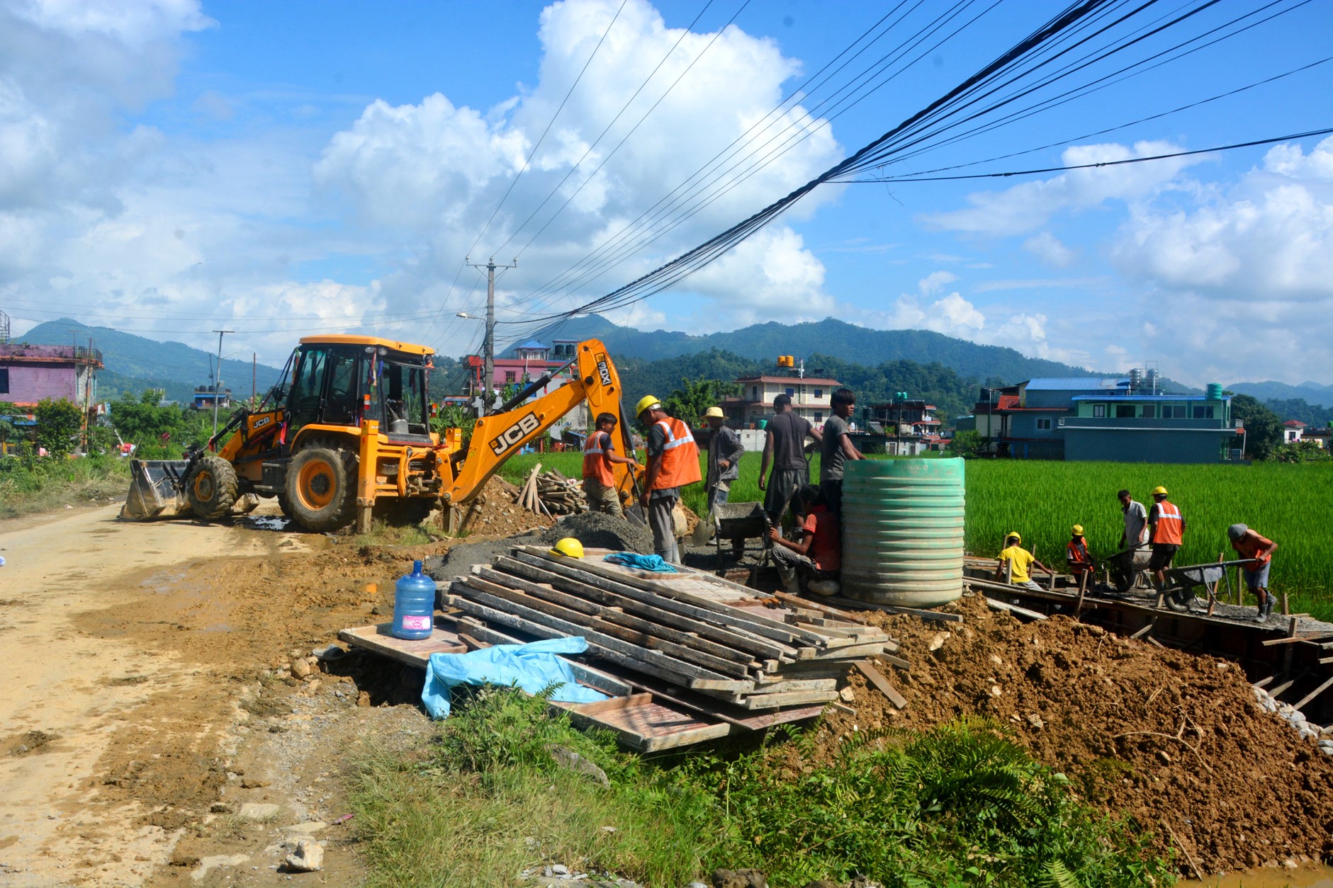 ६४ वर्ष पछि फेला पर्यो अनौठो चरा, आधा मानिस, आधा पंक्षी !