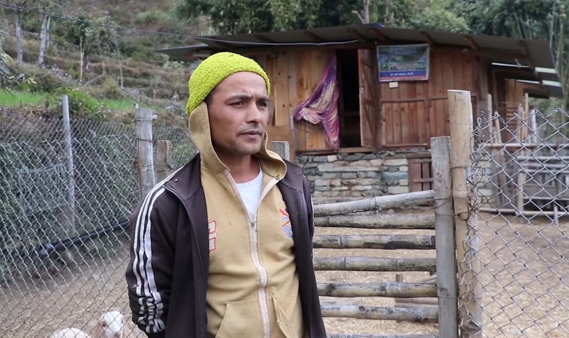 ६४ वर्ष पछि फेला पर्यो अनौठो चरा, आधा मानिस, आधा पंक्षी !